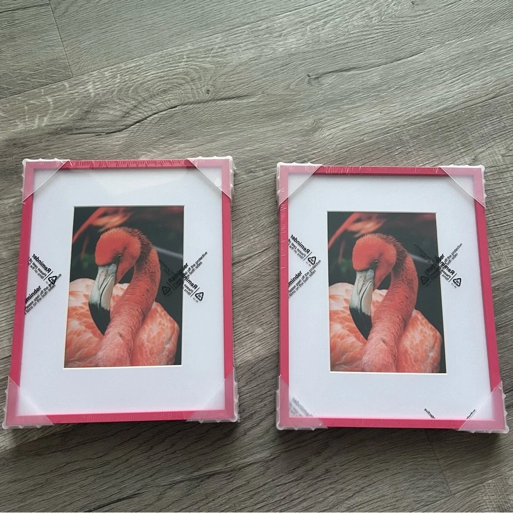 Set of 2 Aluminum Picture Frames